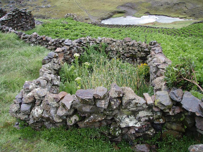 Illampu Trek (67).JPG